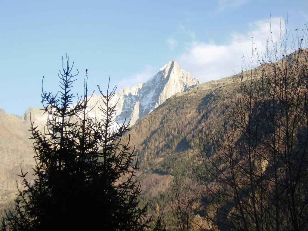 Studio Les Drus / Studio Du Brevent Шамони Номер фото