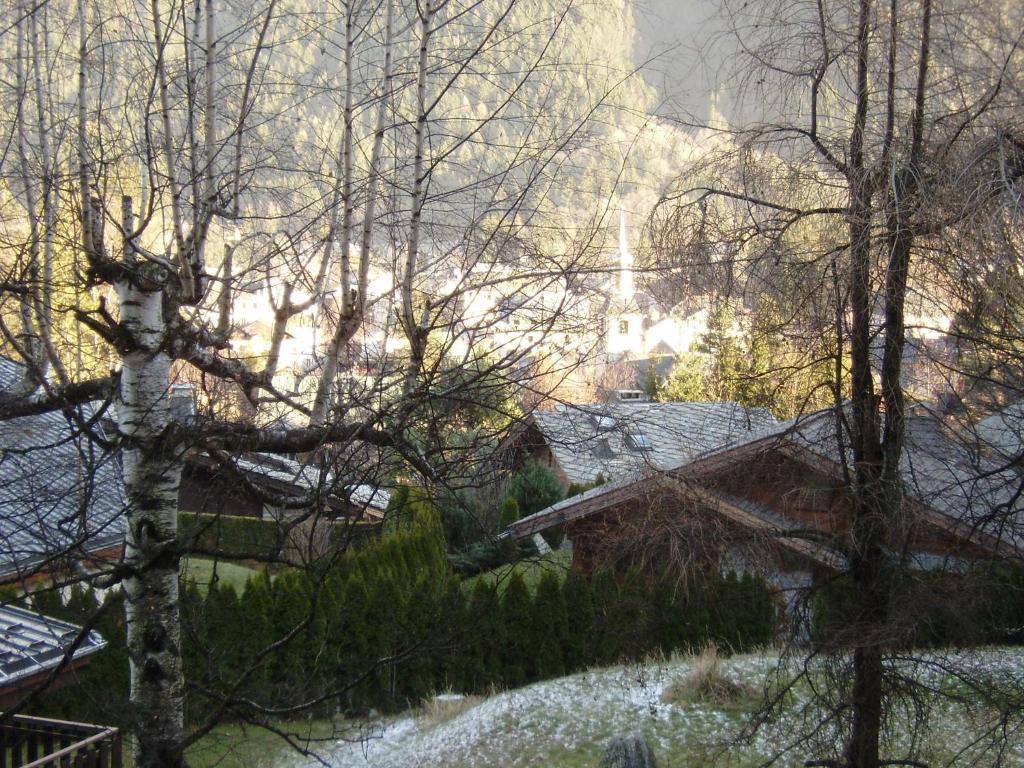 Studio Les Drus / Studio Du Brevent Шамони Номер фото